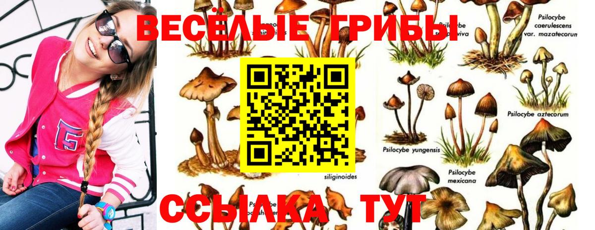 Псилоцибиновые грибы Cubensis  Вход с VPN  Рязань 